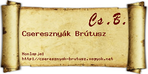 Cseresznyák Brútusz névjegykártya